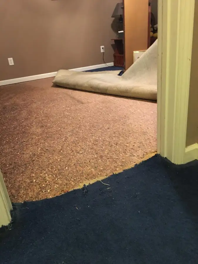 Carpet pad removal revealing water damage during Drying & Dehumidification in Millsboro