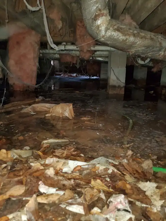 Crawl space flood assessment for Leak Detection & Repair in Millsboro